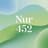 NUR 452